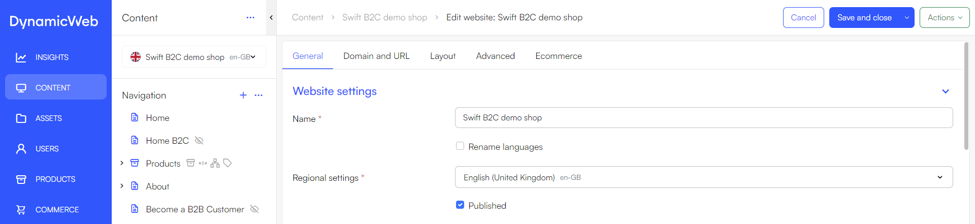 Website settings domain and url